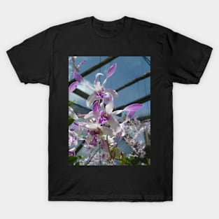 Orchids T-Shirt